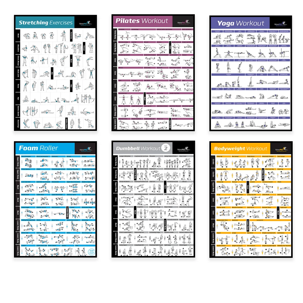 Body Exercise Training Chart W - Health Wellness And Fitness ulasan dan harga