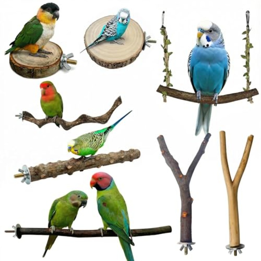 8PCS natural wood bird perches - Health & Wellness Fair 2025 ulasan dan harga