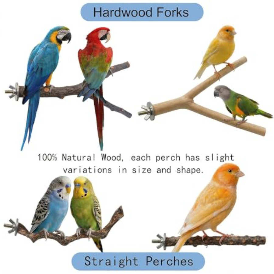 8PCS natural wood bird perches - Health & Wellness Fair 2025 ulasan dan harga
