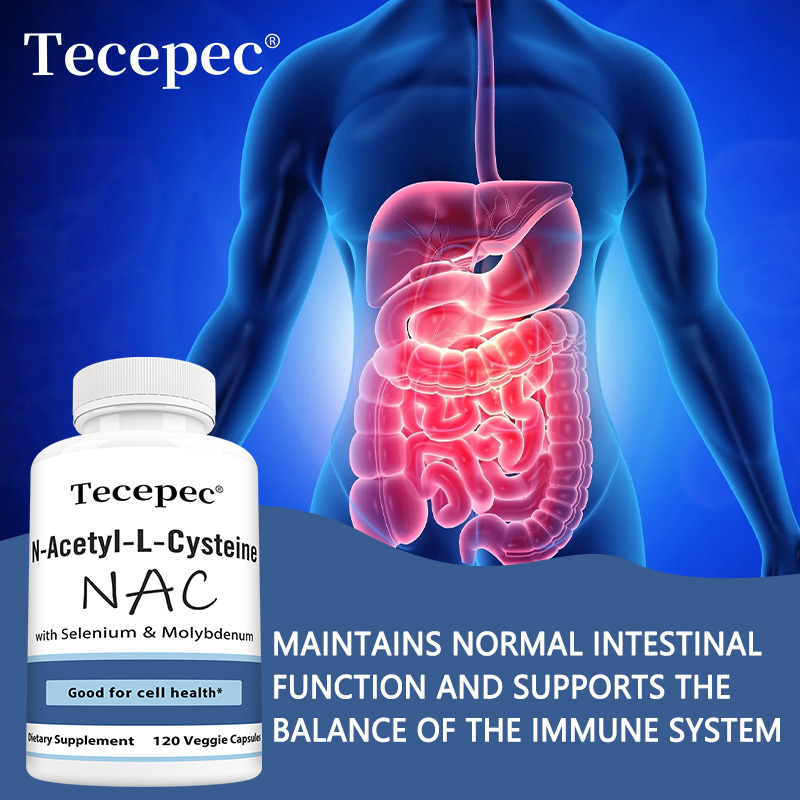 NAC Capsules – Antioxidant, Su - Health Wellness Day ulasan dan harga