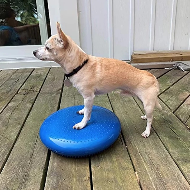 Dog Balance Disc Cushion Rehab - Balance Cushion Disc ulasan dan harga