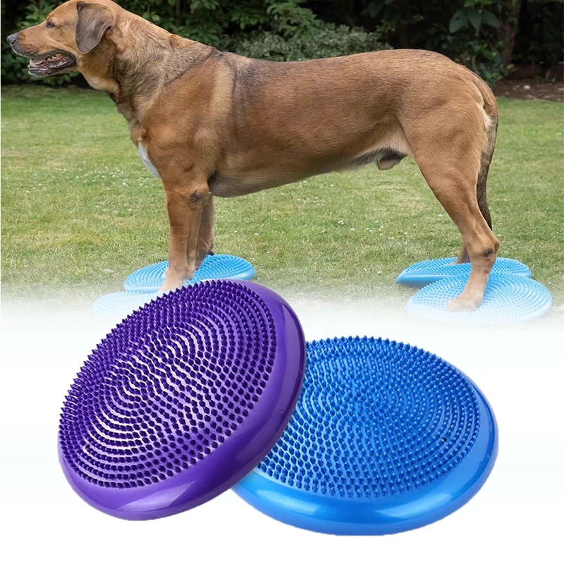 Dog Balance Disc Cushion Rehab - Balance Cushion Disc ulasan dan harga