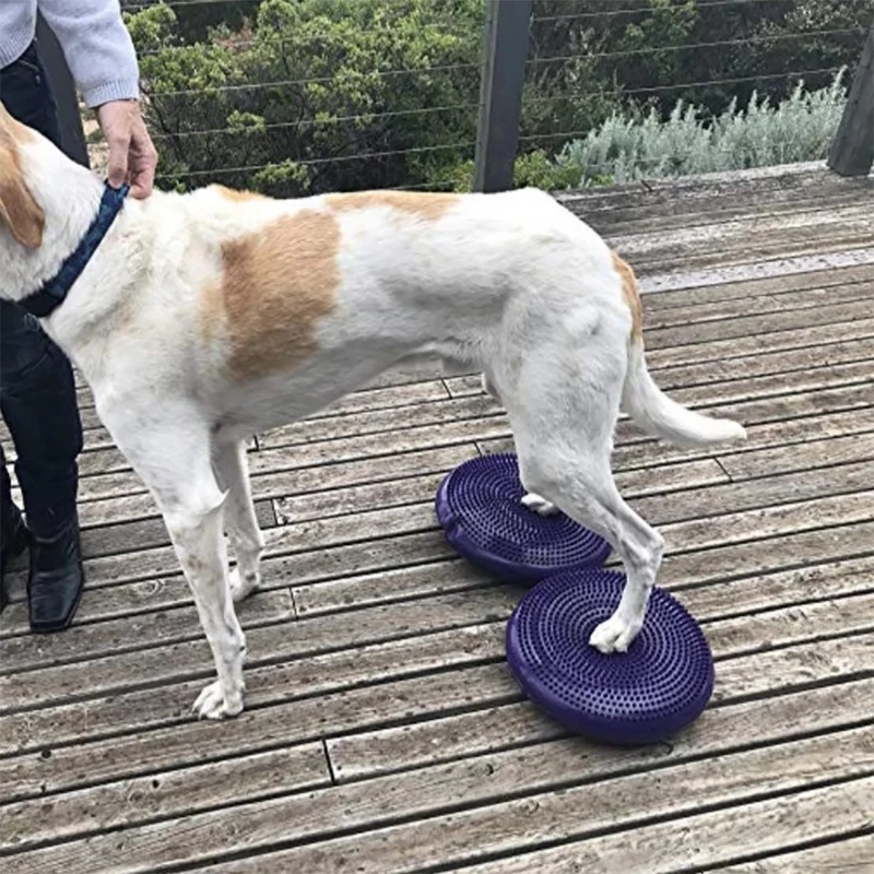 Dog Balance Disc Cushion Rehab - Balance Cushion Disc ulasan dan harga