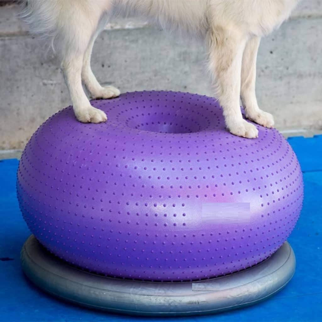 Balance Disc Cushion Dog Balan - Balance Cushion Disc ulasan dan harga