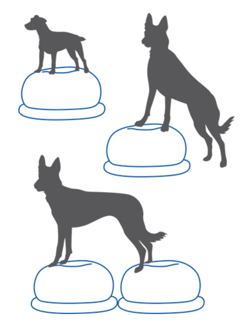 Balance Disc Cushion Dog Balan - Balance Cushion Disc ulasan dan harga
