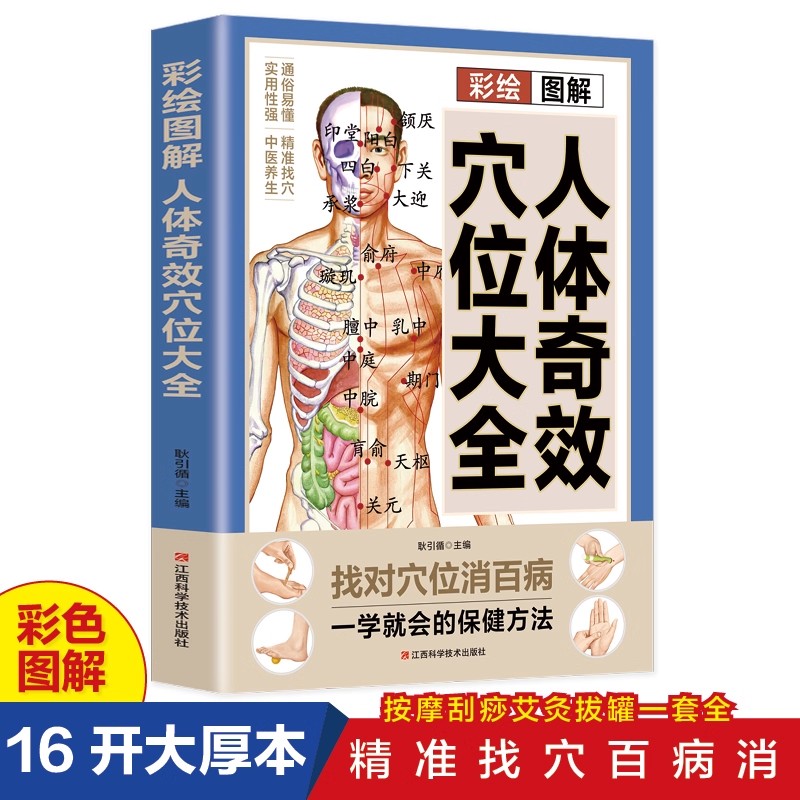 Acupoint Massage & TCM Health  - Health & Wellness Fair 2025 ulasan dan harga