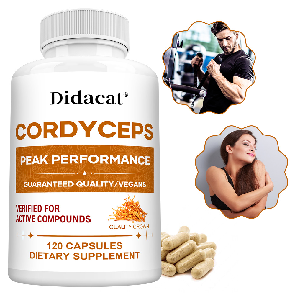 Cordyceps Mushroom Capsules 10 - Health Wellness Day ulasan dan harga